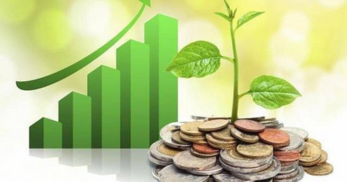 Lịch chốt quyền cổ tức tuần 12/1-16/1: Cổ tức tiền mặt cao nhất 92,5%, một "ông lớn" sắp chi 2.500 tỷ đồng trả cổ tức