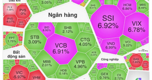 Bank, chứng bùng nổ nhưng ai đang âm thầm “giữ chân” VN-Index?