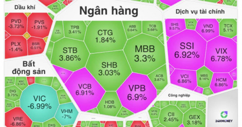 Tiền vào như nước, cổ phiếu tím ngắt khắp các nhóm ngành