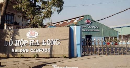 Chủ nhiệm Ủy ban Quốc hội: Có hay không việc che giấu dịch heo bệnh ở Công ty Đồ hộp Hạ Long?