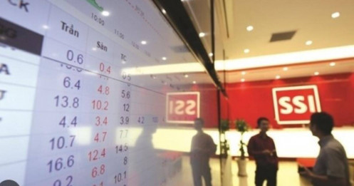 ‘Cá mập’ Nhật Bản vừa chi hơn 950 tỷ đồng để mua cổ phiếu SSI