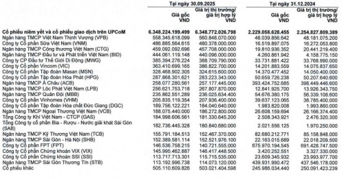 CTCK nào đang cược lớn vào VCB, CTG, GAS khi sóng DNNN dâng cao?