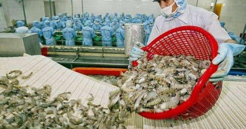 FMC chịu sức ép thuế quan