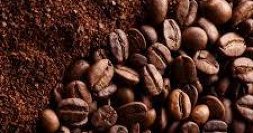 Đầu tư cà phê robusta tại SACT – Giao dịch tài chính, nhận hàng thật