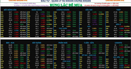Bài viết HAY của chuyên gia