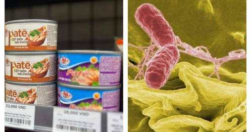 Nhiều kho của Công ty đồ hộp Hạ Long chứa thịt nhiễm dịch tả lợn châu Phi và vi khuẩn Salmonella
