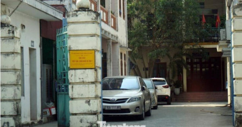 Vụ tuồn lợn dịch vào Cty Đồ hộp Hạ Long: Tạm giữ cán bộ kiểm dịch để xác minh hành vi nhận hối lộ