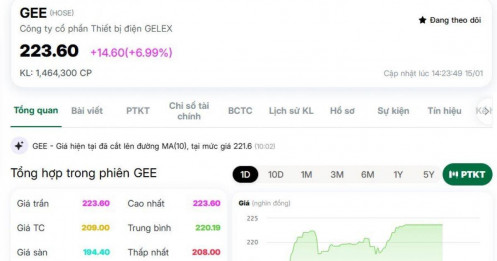 Cổ phiếu GEE bật trần sau thông tin chia cổ tức 130%