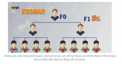 Ai đứng sau mô hình ký quỹ với Esomar