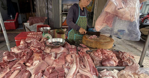 Hành trình chục nghìn tấn thịt heo vào TP.HCM: Lỗ hổng sau những dấu kiểm dịch