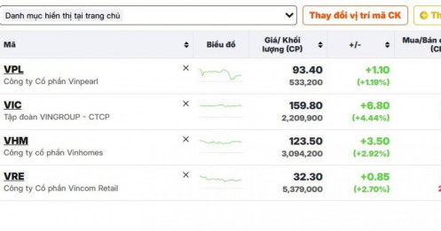 Nhóm cổ phiếu Vingroup bật dậy sau chuỗi lao dốc