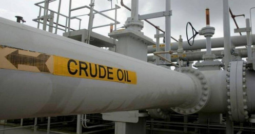 Giá xăng dầu hôm nay 16/1/2026: Giảm mạnh