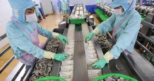 “Đón sóng” cổ phiếu thủy sản