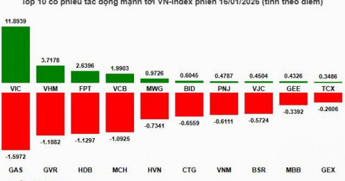 Nhịp đập Thị trường 16/01: Nhóm tiêu dùng không thiết yếu tỏa sáng, VN-Index tăng hơn 14 điểm