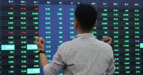 Top cổ phiếu tăng mạnh nhất tuần 12–16/1: Dầu khí tiếp tục chiếm sóng, 2 mã chứng khoán 'thức giấc'