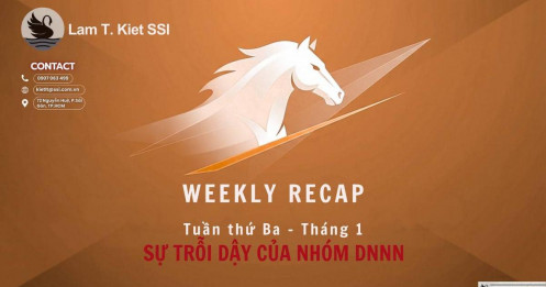 Market Recap - Tuần thứ ba tháng Một: Sự trỗi dậy của DN Nhà nước