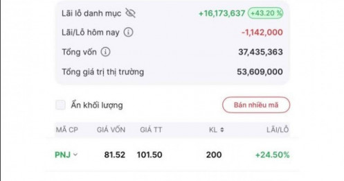 “Đầu tư cho vui” nhưng chị gái ca sĩ Phương Ly khiến nhiều người bất ngờ với mức lãi 43%