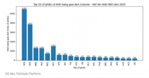 Cổ phiếu nào có số lượng NĐT tham gia lớn nhất sàn năm 2025?
