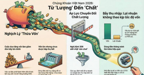 Các "Ông Lớn" Chứng Khoán Đang Thừa Vốn Hay Thiếu Hiệu Quả?