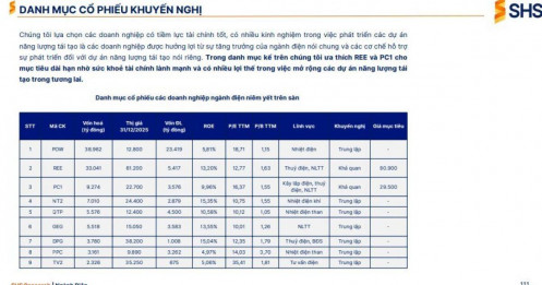 SHS 'chốt' 2 cổ phiếu đón sóng 136 tỷ USD mảng hạ tầng năng lượng