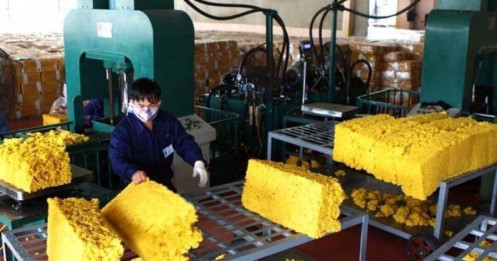 Cao su Việt đứng trước ngã rẽ chiến lược