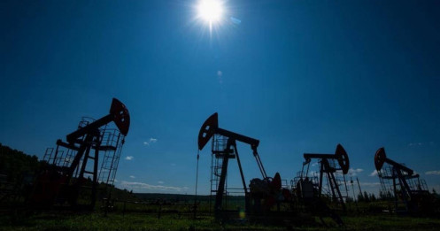 Giá xăng dầu hôm nay 19/1/2026: Sắc xanh phiên đầu tuần