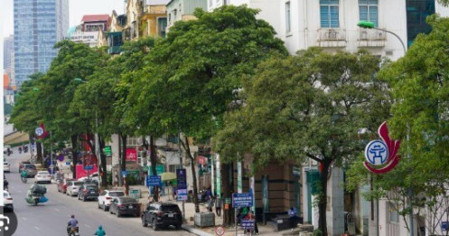 Hà Nội chấm dứt hoạt động dự án nhà cao tầng ở 'đất vàng' Nguyễn Chí Thanh