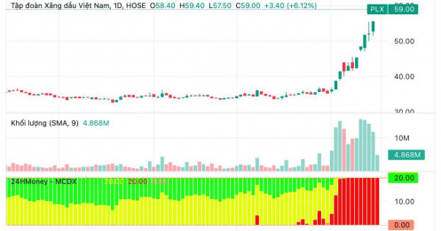 Vì sao em gái cựu Tổng giám đốc Petrolimex đăng ký bán toàn bộ cổ phiếu PLX?