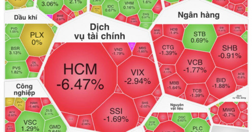 HCM lao dốc gần 7%, VN-Index mất điểm vì đâu?