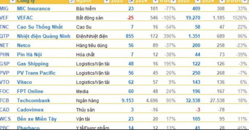 Techcombank báo LNTT tăng 95%, "gà đẻ trứng vàng" của tỷ phú Phạm Nhật Vượng báo lỗ