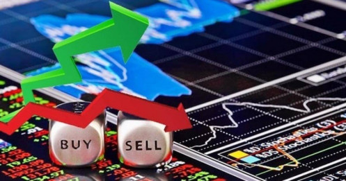 Nhiều “họ” cổ phiếu thay nhau nổi sóng, chuyên gia gọi tên một đại diện đang giữ nhịp thị trường