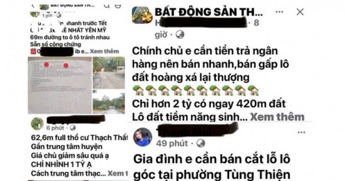 Sau cơn sốt đất, thị trường BĐS rơi vào trạng thái gì?