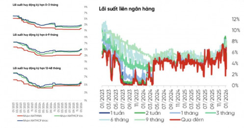 Chuyên gia cảnh báo: Chưa vội gửi tiết kiệm dài hạn, nên chờ động thái mới từ NHNN