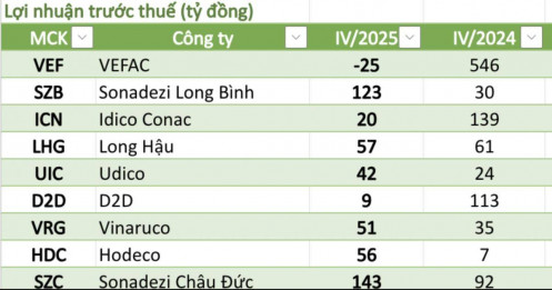 Bất động sản “lật mặt” báo cáo lợi nhuận: Một cái tên tăng hơn 1.500%