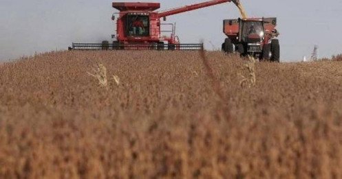 Thương mại nông sản trong thế giới phân cực