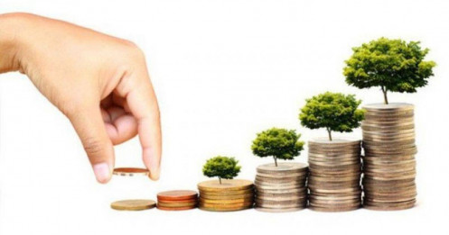 “Có 500 triệu, tôi quyết định… không đầu tư gì cả”