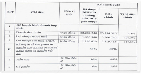 Lãi kỷ lục hơn 3.400 tỷ, Gelex Electric (GEE) “xuống tiền” trả cổ tức tiền mặt 55%