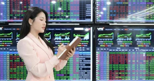Bức tranh lợi nhuận các công ty chứng khoán có gì đặc biệt?