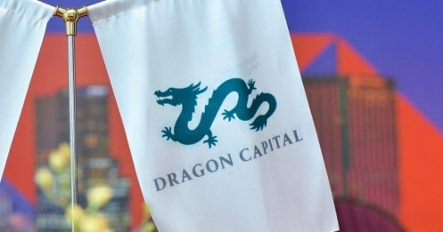 Dragon Capital giảm một nửa lợi nhuận
