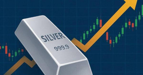 Kỷ lục chưa từng có: Giá bạc Thượng Hải cao hơn 14 USD so với sàn COMEX