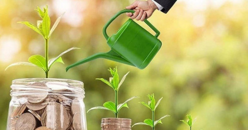 Tiền mặt 20%/cổ phiếu: Tuần 26–30/1 cổ đông nhận “mưa tiền”