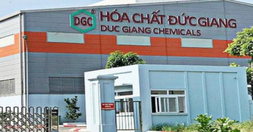 Chuyện gì xảy ra với DGC? Cổ phiếu hóa chất bất ngờ giảm sàn, khối ngoại bán tháo