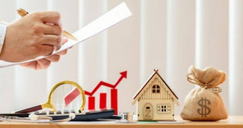 Bài viết HAY của chuyên gia