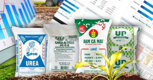 Ngành phân bón: Sóng hồi ngắn – Bull trap dài? Góc nhìn tỉnh táo sau nhịp tăng rồi “trả điểm”