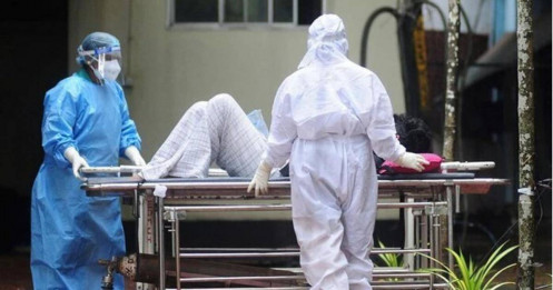 Virus Nipah xuất hiện trở lại, Việt Nam siết chặt phòng dịch