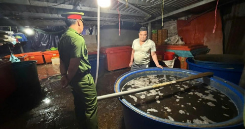 Rúng động: Hàng nghìn tấn ốc bươu bị ngâm “thủy tinh lỏng”