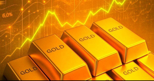 Bài viết HAY của chuyên gia