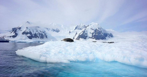 "Ván cờ" Bắc Cực của Mỹ, Nga, Trung