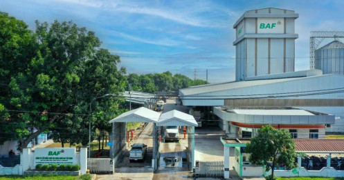 BAF - Tham vọng top thị phần chăn nuôi vào 2030