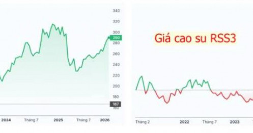 Giữa tâm bão phân hóa - GVR vẫn vững vàng trên yên ngựa